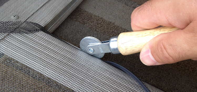 metal screen door repair in Albany
